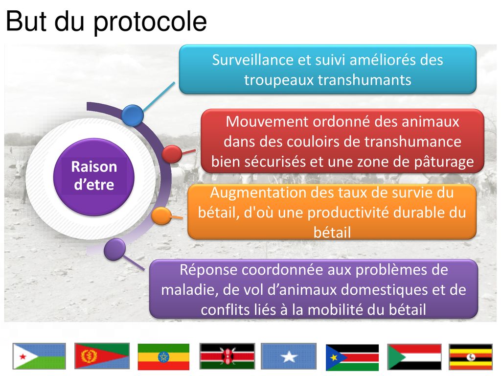 Pastoralisme Dans La R Gion De L Igad Ppt T L Charger